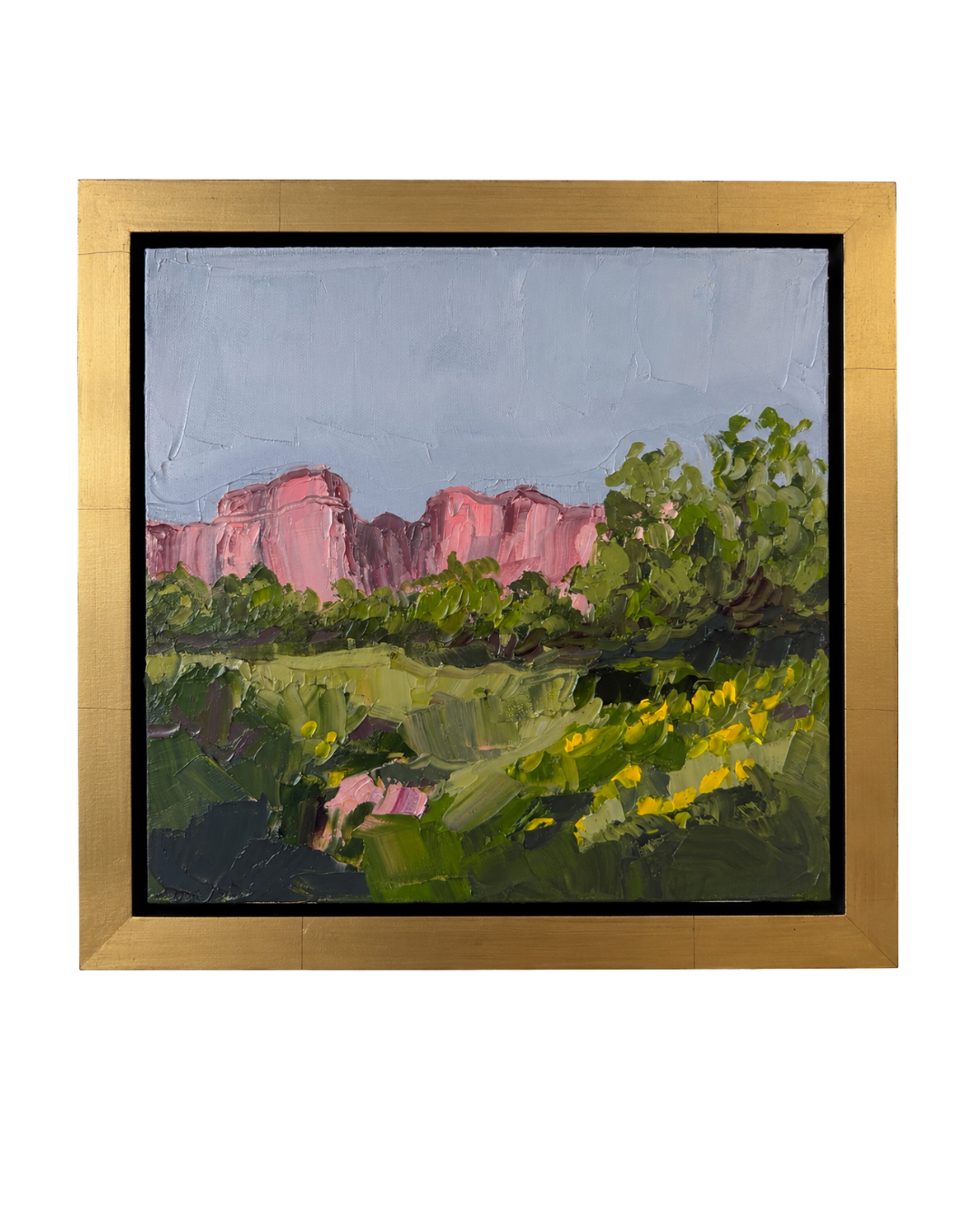 'Palo Duro in Bloom'